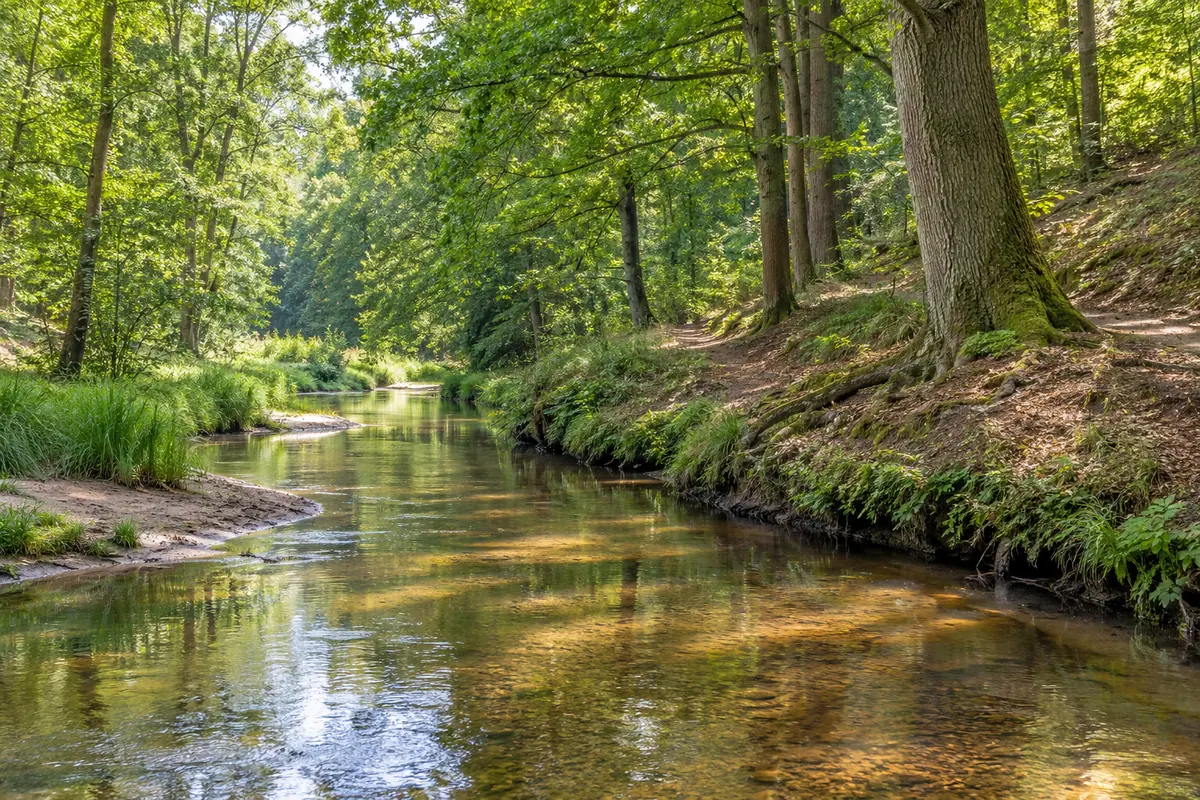 Liethwald an der Böhme in Bad Fallingbostel (Heidekreis).